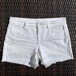 The Short by White House Black Market Size 6